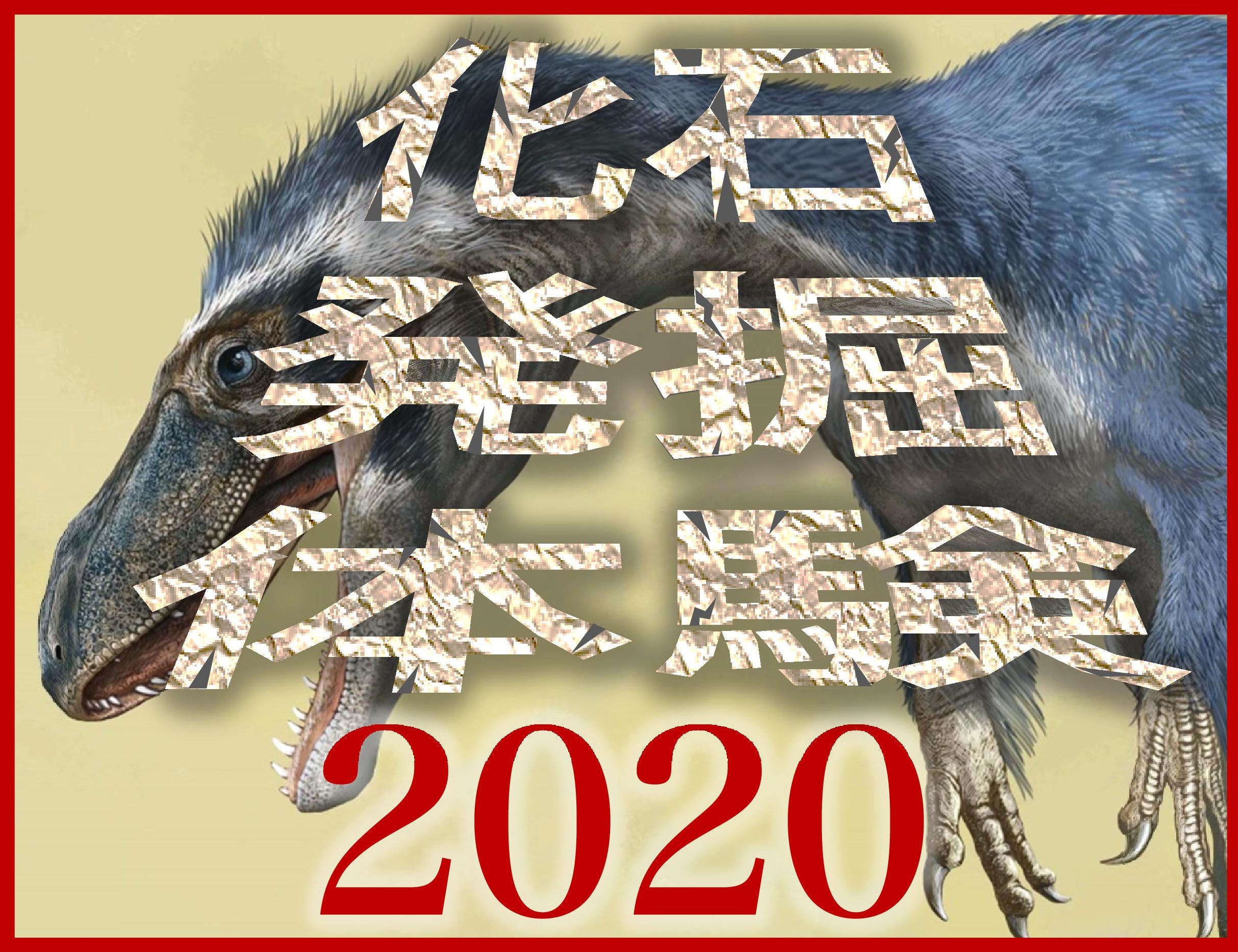 kaseki2020